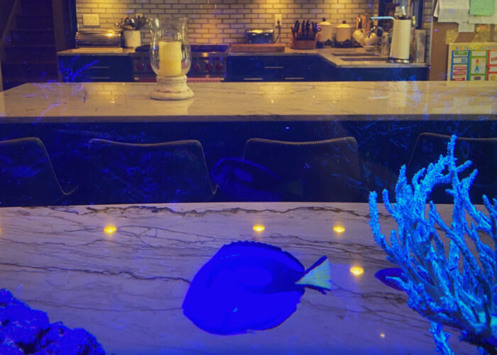 Aquarium Kitchen