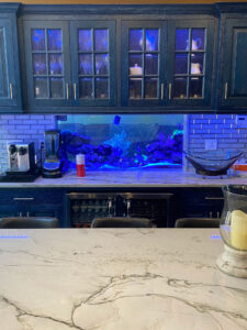 Aquarium Kitchen